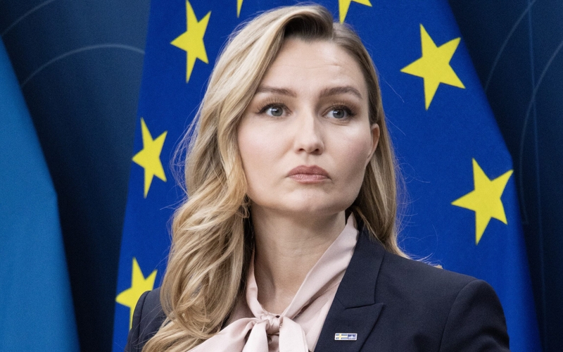 Sweden welcomes end to EU grid spat in draft compromise
