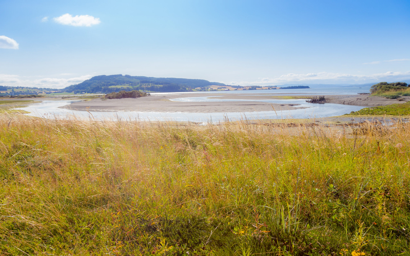 Nordic market underestimates El Nino risk – Mind Energy