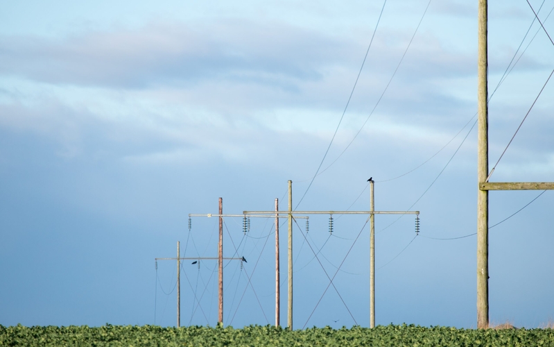 Denmark’s grid priority plan to cause investor uncertainty – industry